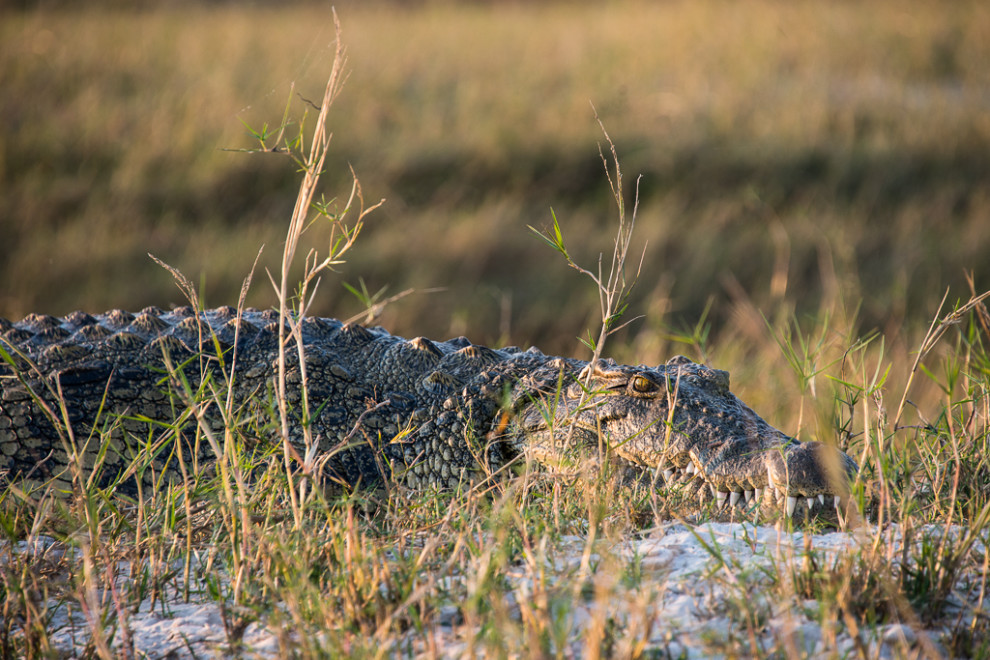 Botswana-2012-15