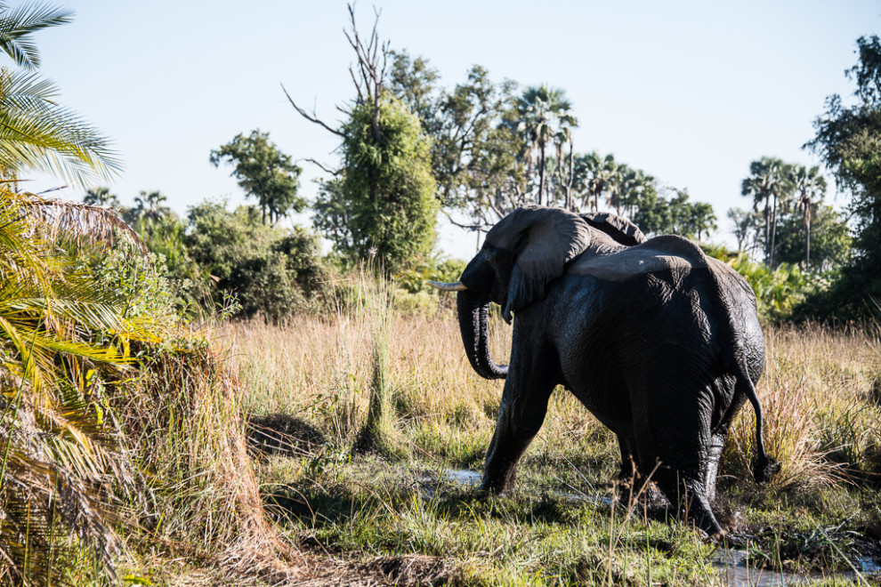 Botswana-2012-5