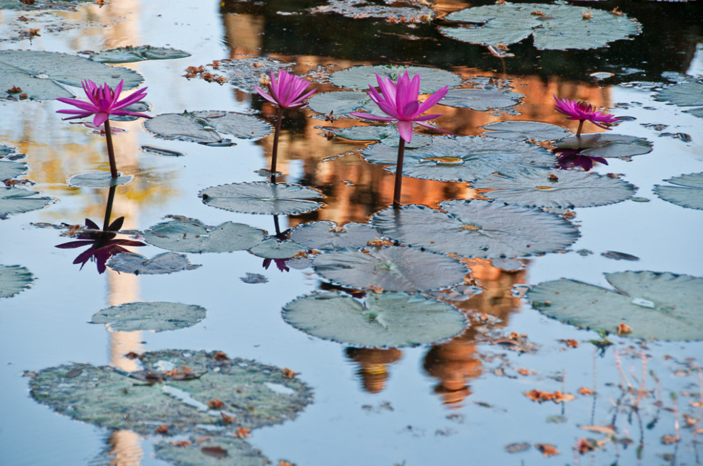 Siem Reap - Cambodge