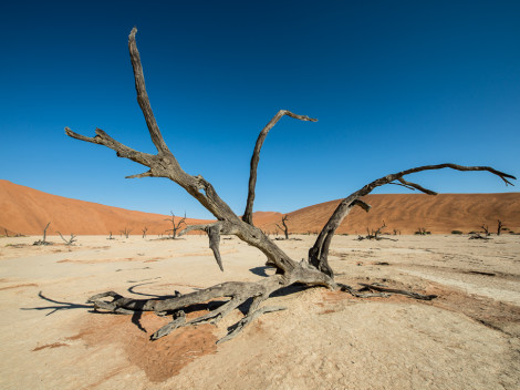Namibie-2012-42