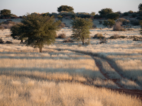 Namibie-2012-47