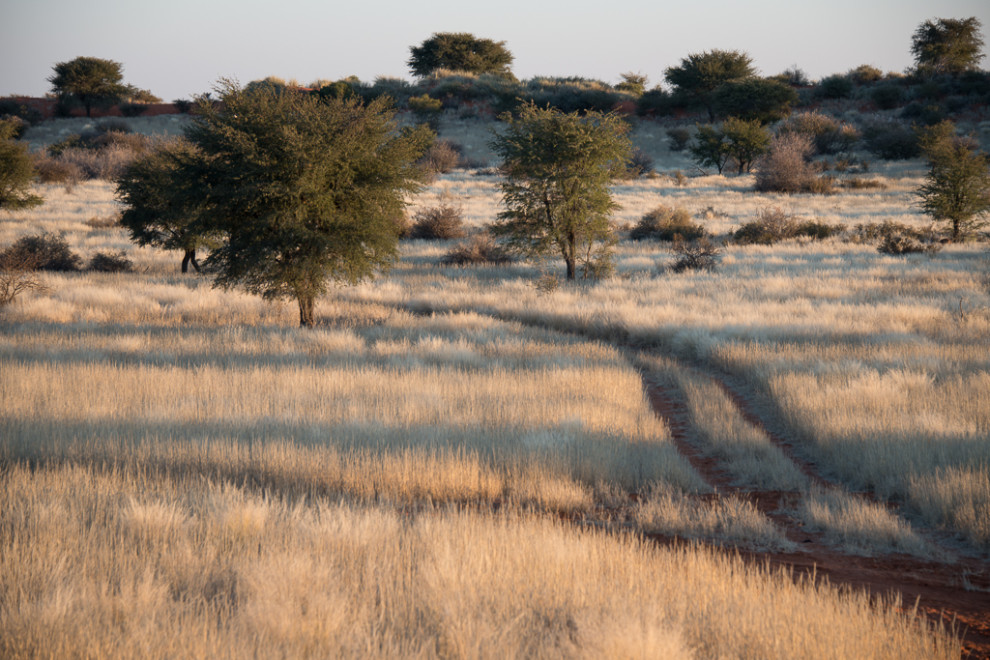 Namibie-2012-47