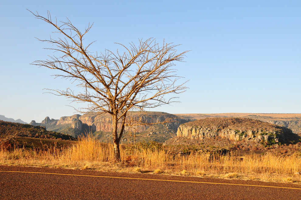 Afrique du Sud-JN-1