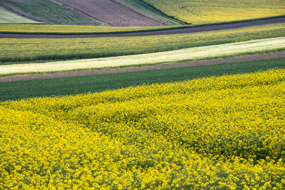 Patchwork de couleurs dans les champs près de Rouvres, en Eure-et-Loir