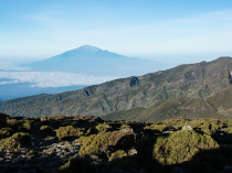 Tanzanie - Kilimandjaro-JN-10