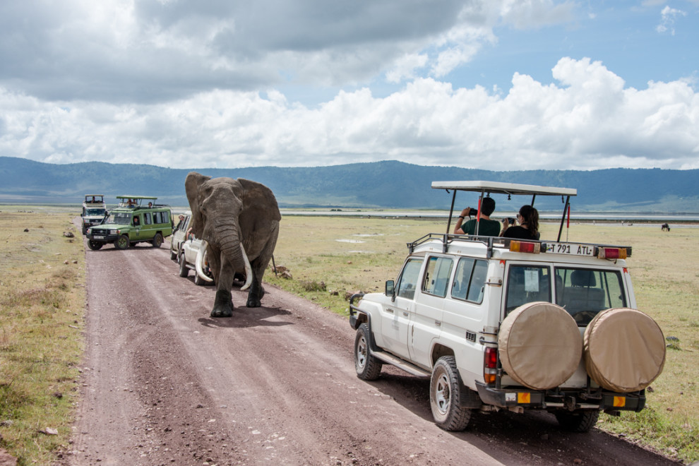 Tanzanie-Ngorongoro-JN-12