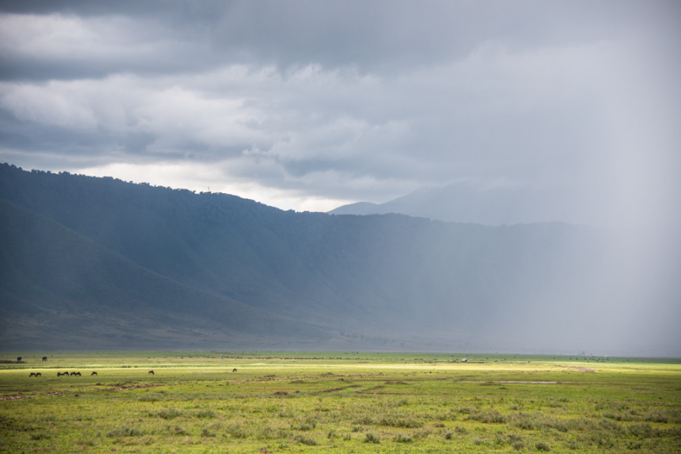 Tanzanie-Ngorongoro-JN-20