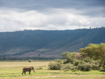 Tanzanie-Ngorongoro-JN-24