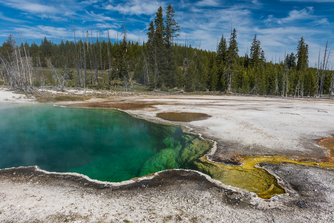 Une des piscines aux couleurs impossibles du West Thumb Geyser Basin, dans le parc du Yellowstone